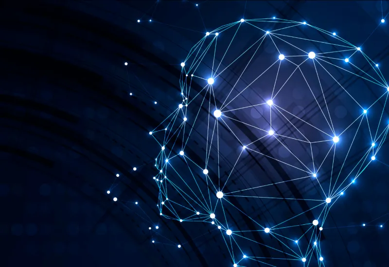 Bilişim ve Teknoloji Sektöründe Müşteri İlişkileri Faaliyetlerinin Önemi